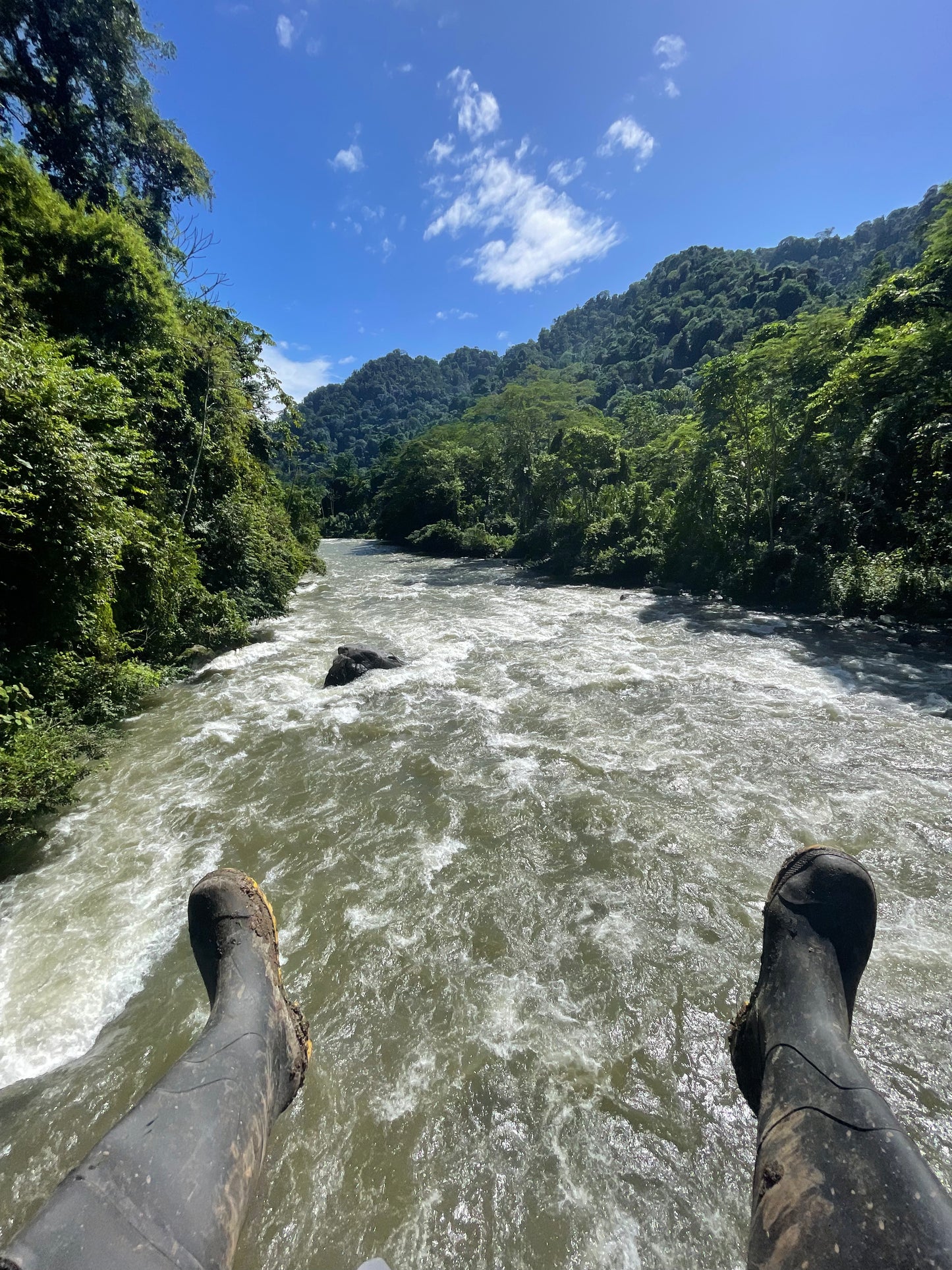 FULL DAY TOUR BRIBRI INDIGENOUS TERRITORY