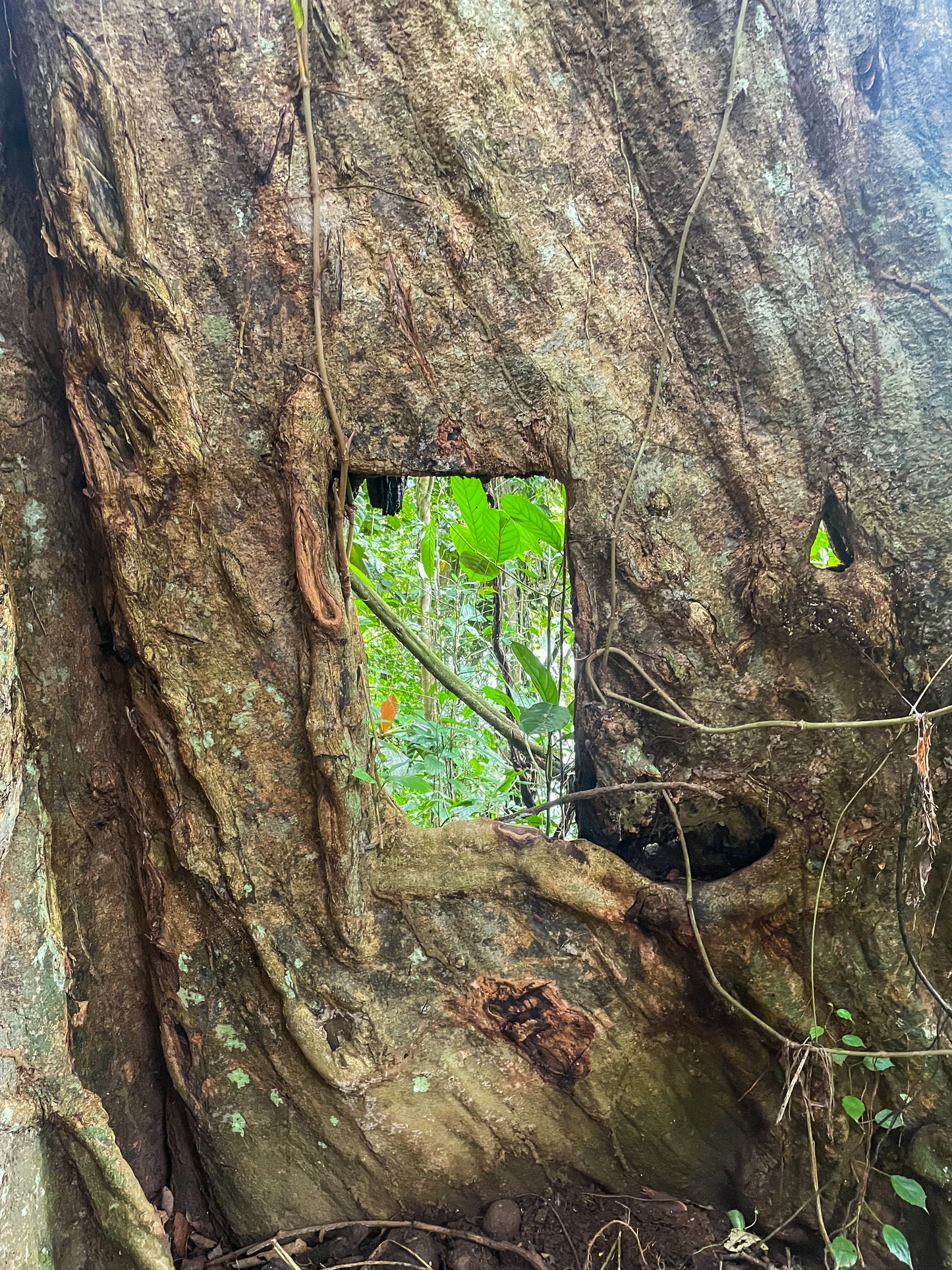 FULL DAY TOUR BRIBRI INDIGENOUS TERRITORY