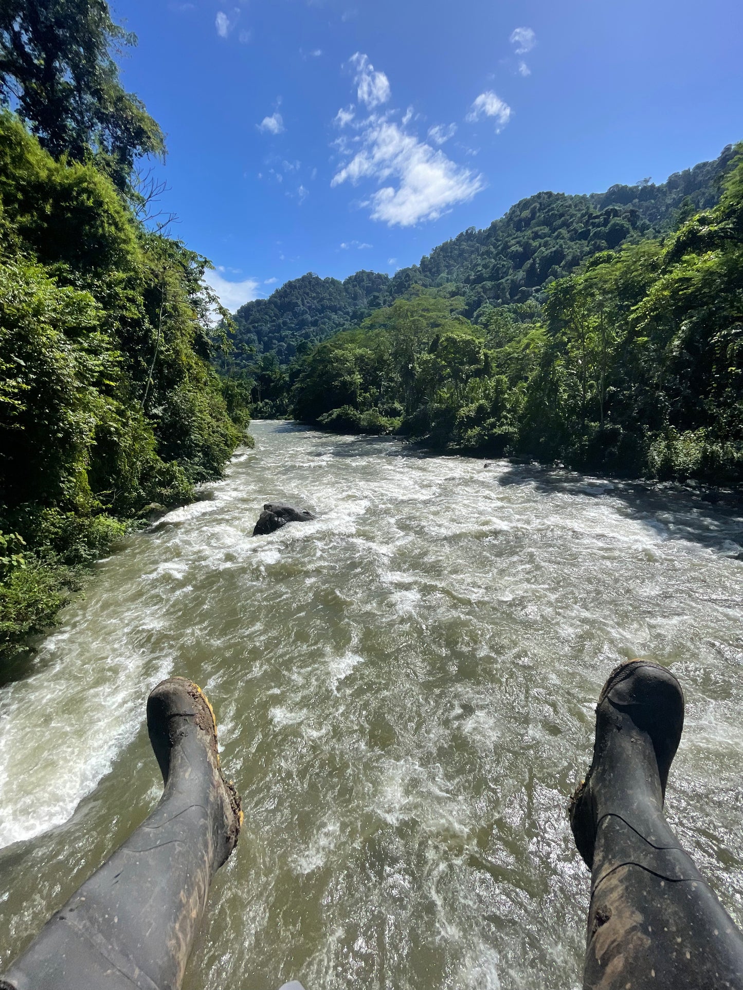 EXCURSIÓN DE DÍA COMPLETO EN LA RESERVA BRIBRI