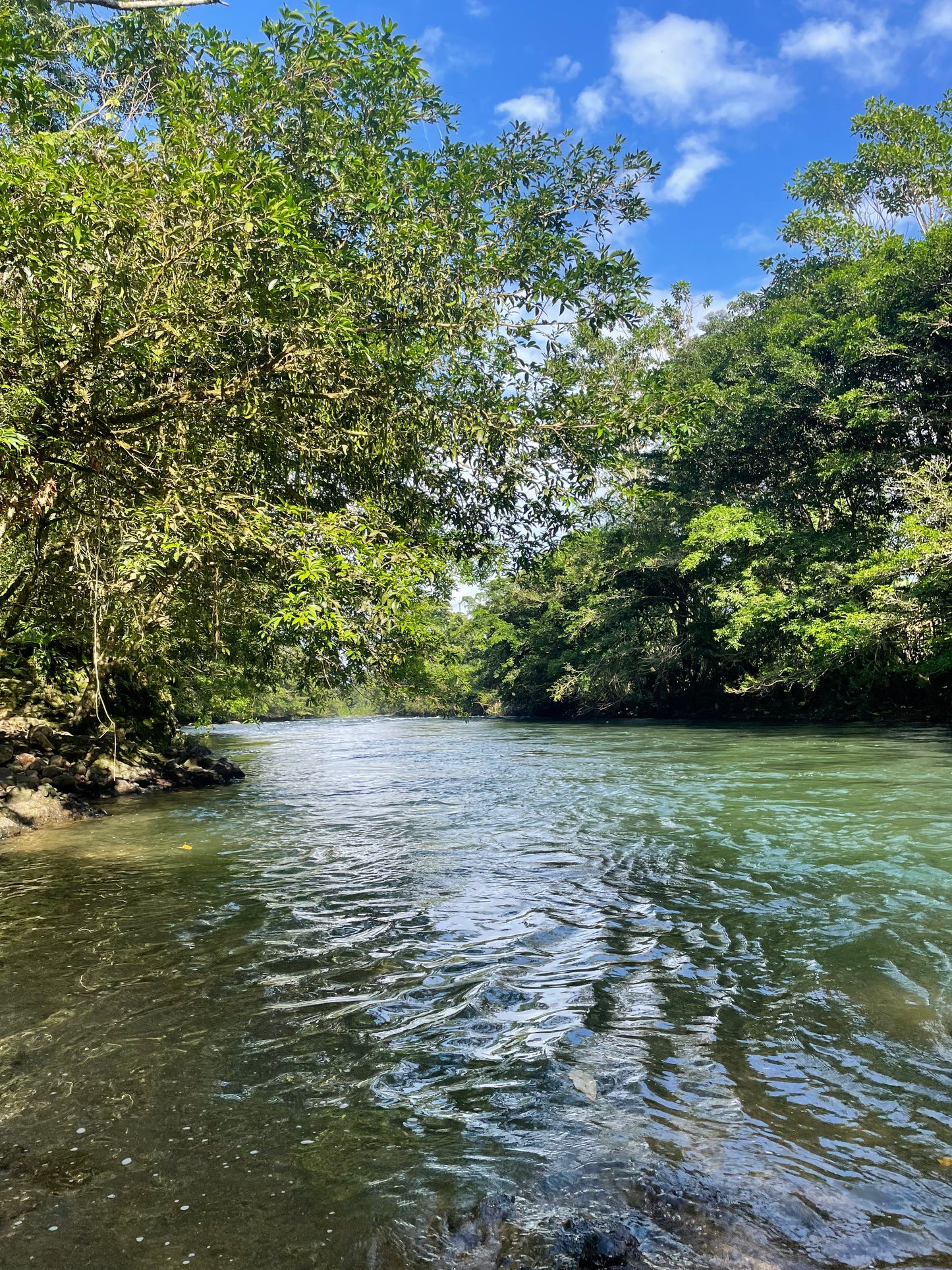 ECONOMIC TOUR BRIBRI INDIGENOUS RESERVE